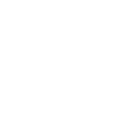 BlackCat Security Research Group