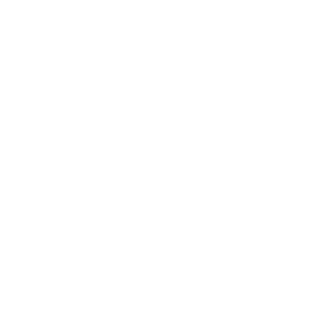 BlackCat Security Research Group